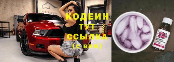 индика Новозыбков