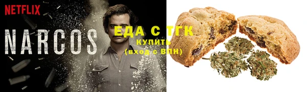 ешки Аркадак