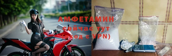 индика Новозыбков