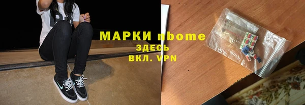 ешки Аркадак